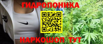 дживик Будённовск