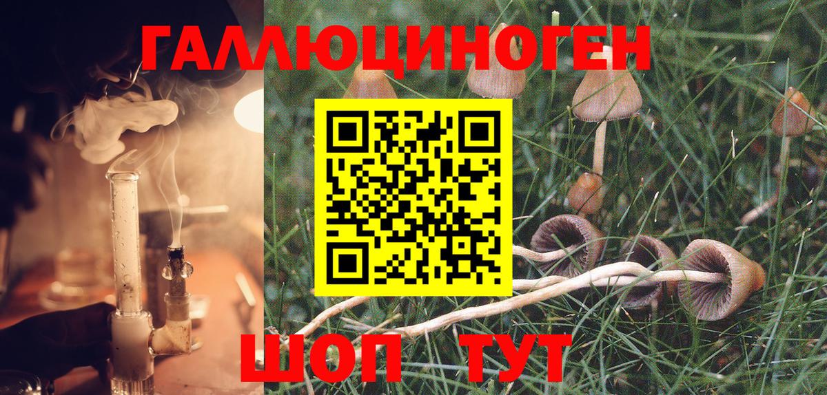 где можно купить наркотик  Вход с VPN  Биробиджан  Псилоцибиновые грибы ЛСД 